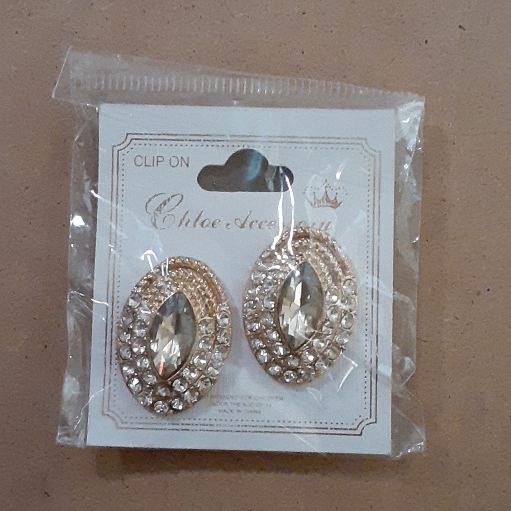 Chloe Accessory - Picture 3 of 6